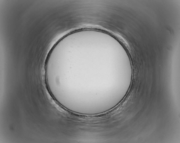 X0000111141287200906301009