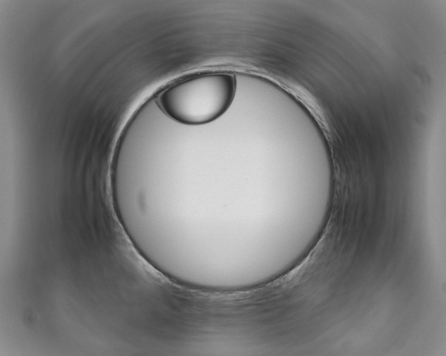 X0000111141288200906301009