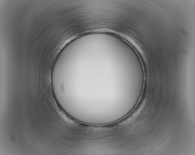 X0000111141289200906301009