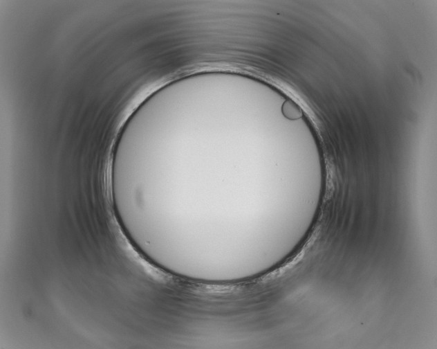 X0000111141290200906301009