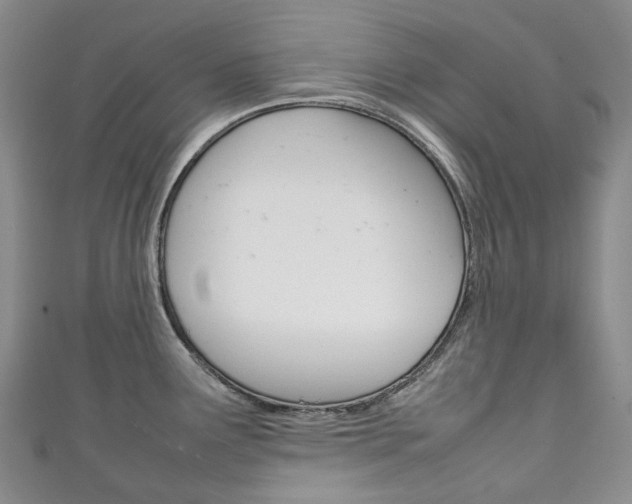 X0000111141291200906301009