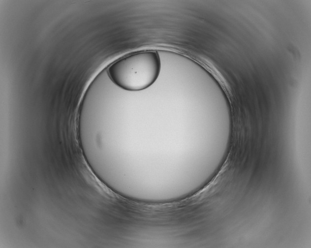 X0000111141292200906301009