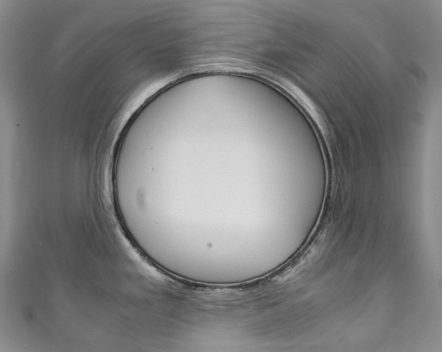 X0000111141293200906301009