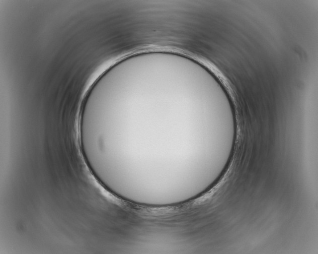 X0000111141294200906301009