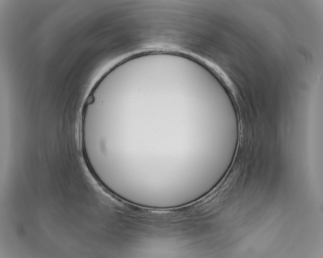 X0000111141295200906301009