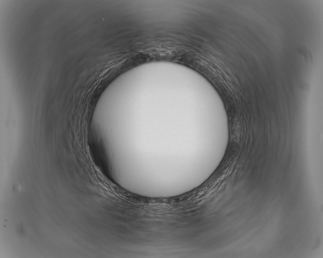 X0000111141297200906301009