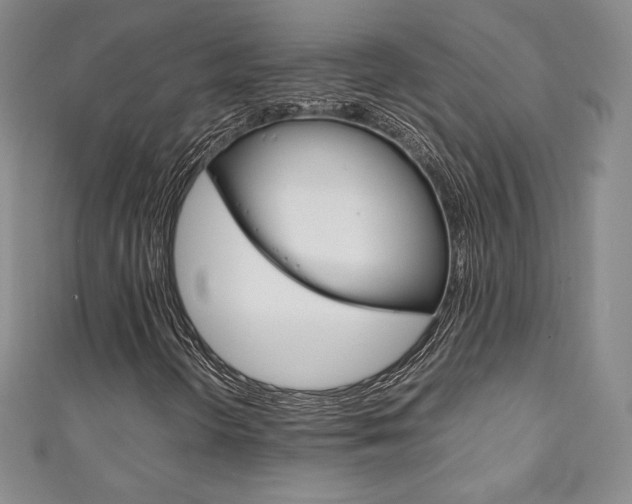 X0000111141298200906301009