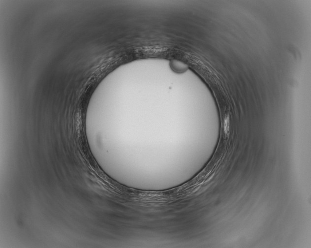 X0000111141299200906301009