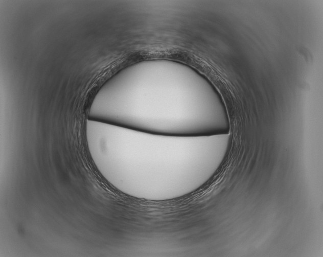X0000111141300200906301009