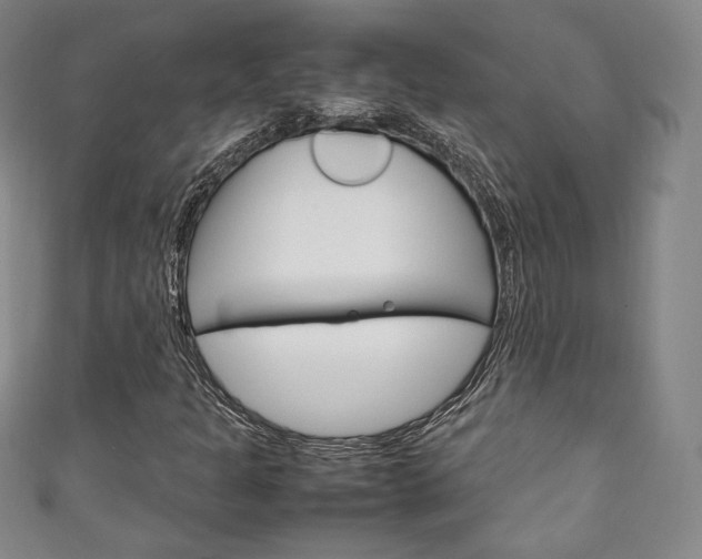 X0000111141301200906301009