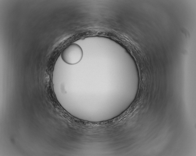 X0000111141302200906301009