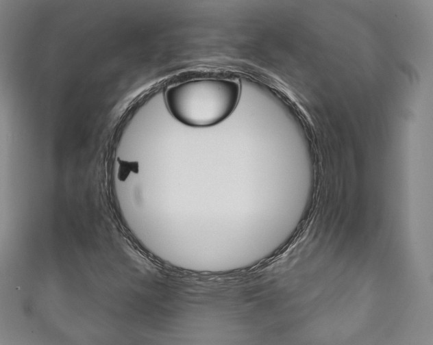 X0000111141304200906301009