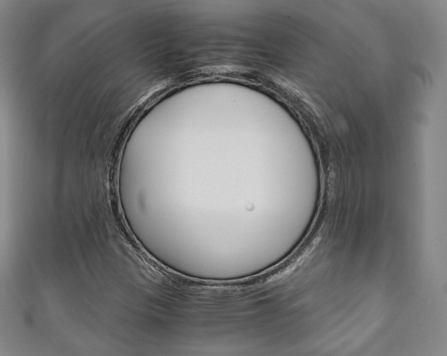 X0000111141305200906301009
