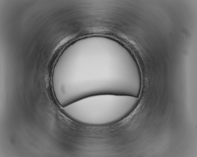 X0000111141306200906301009