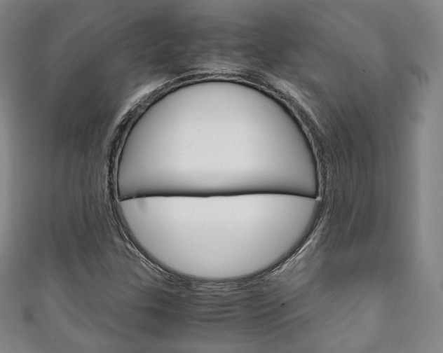 X0000111141307200906301009
