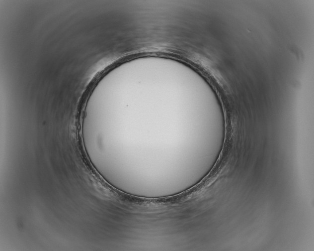 X0000111141308200906301009