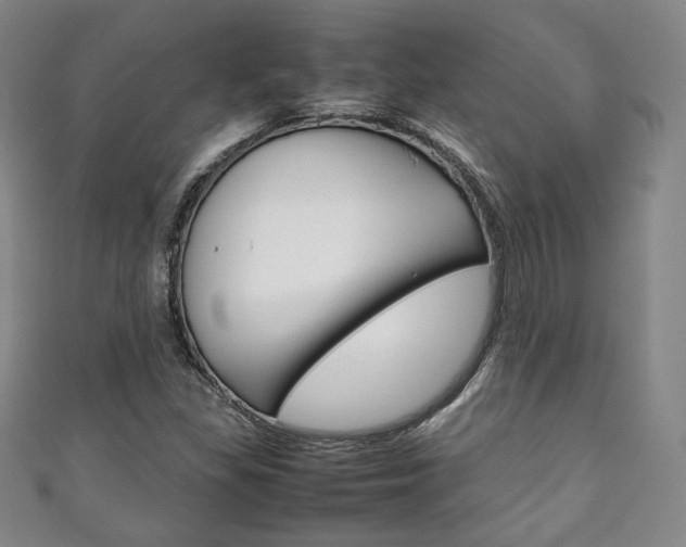 X0000111141309200906301009