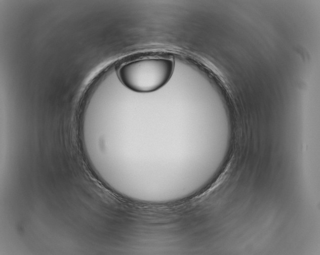 X0000111141310200906301009