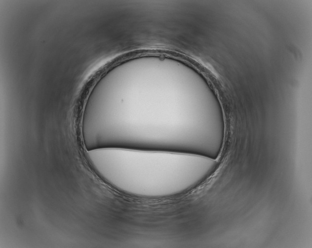 X0000111141311200906301009