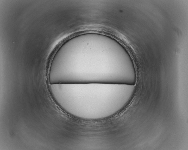 X0000111141312200906301009