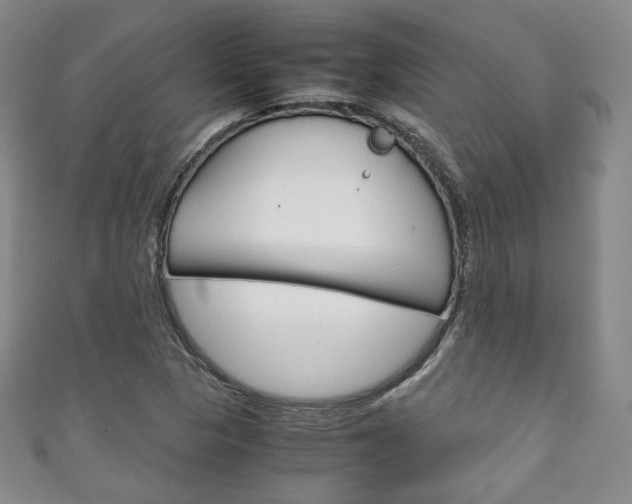 X0000111141313200906301009
