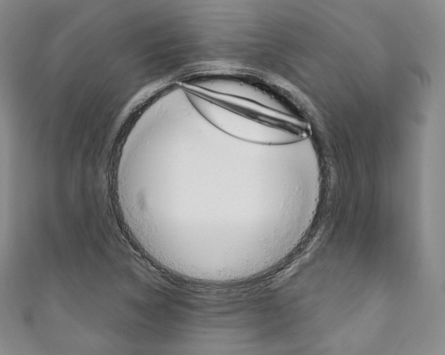 X0000111141314200906301009