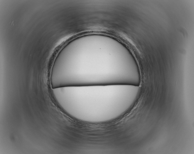 X0000111141315200906301009