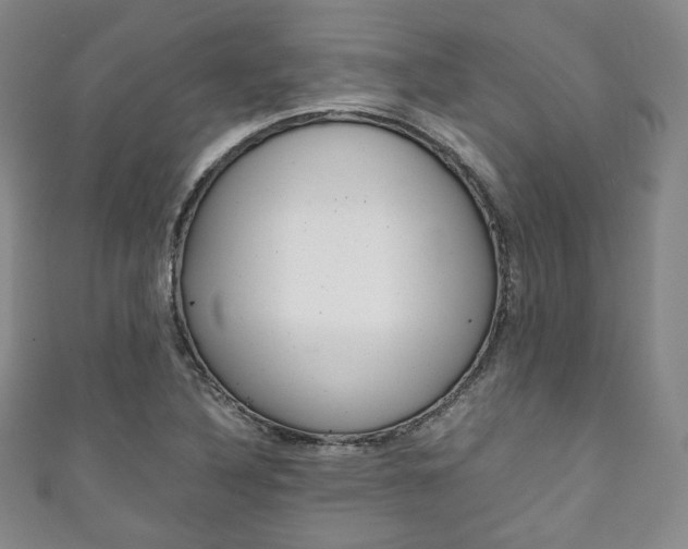 X0000111141316200906301009