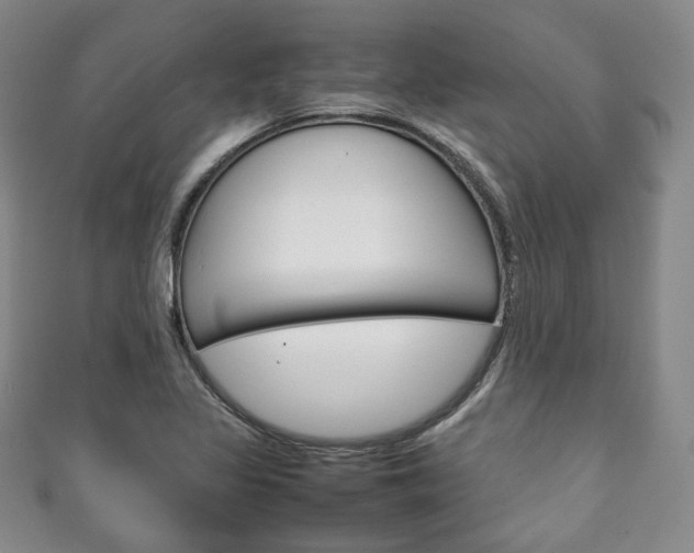X0000111141317200906301009