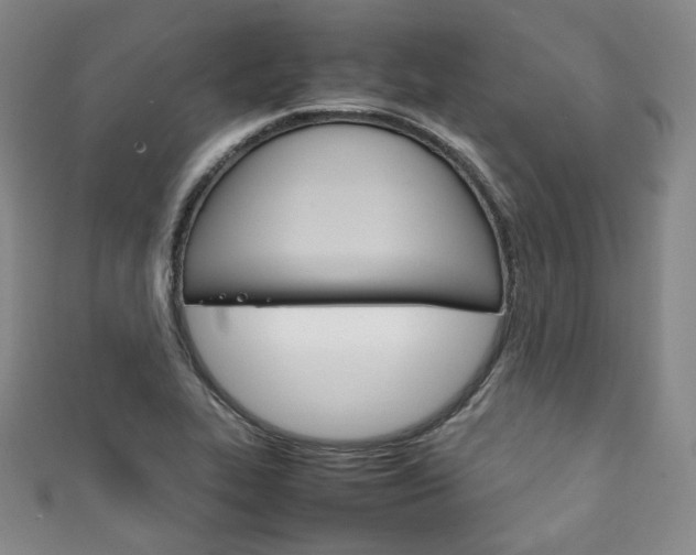 X0000111141319200906301009