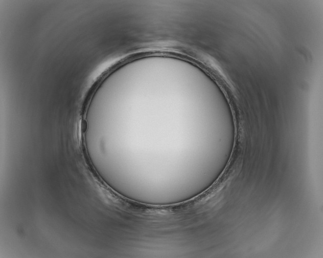X0000111141320200906301009