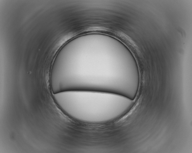 X0000111141321200906301009