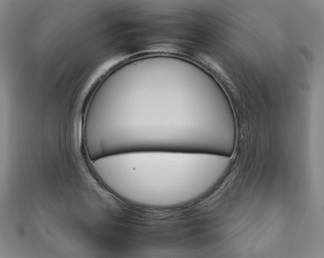 X0000111141323200906301009