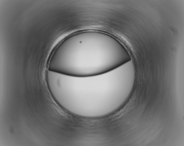 X0000111141324200906301009