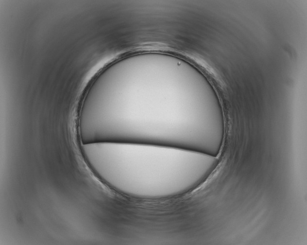 X0000111141325200906301009