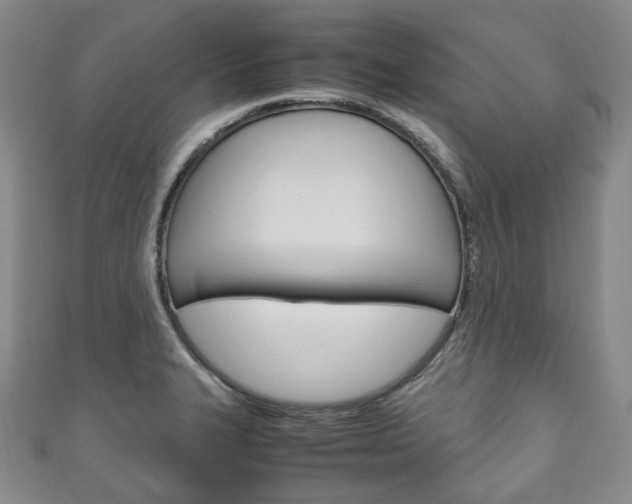 X0000111141327200906301009