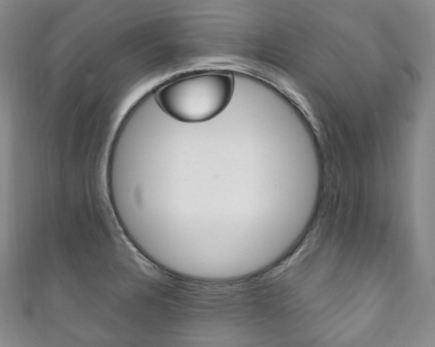 X0000111141328200906301009
