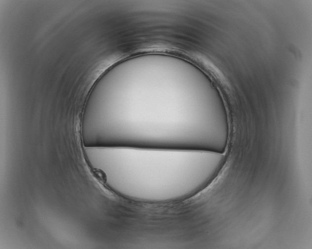 X0000111141329200906301009