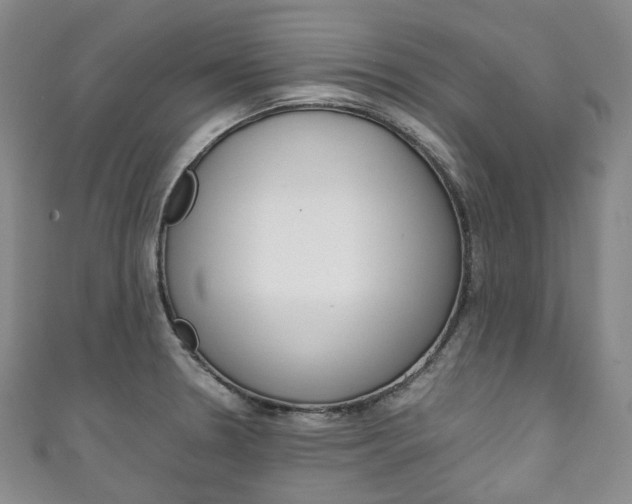 X0000111141330200906301009