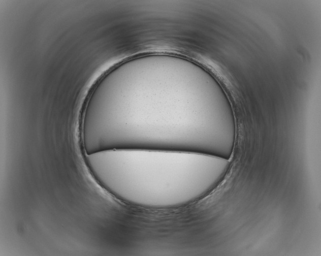 X0000111141331200906301009
