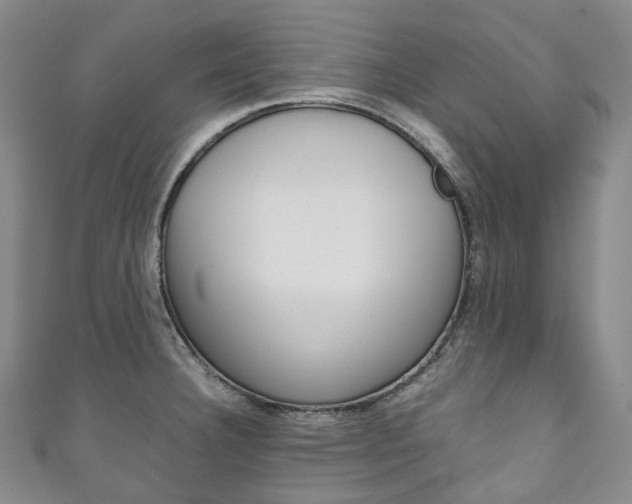 X0000111141332200906301009