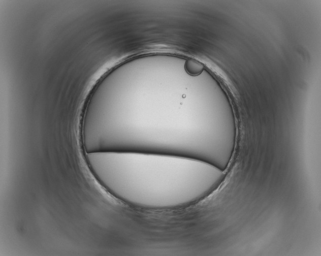 X0000111141333200906301009