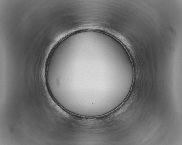 X0000111141334200906301009