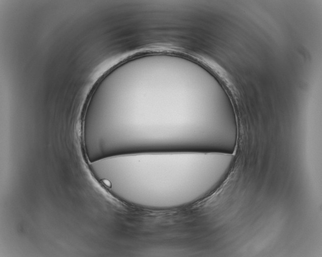 X0000111141335200906301009