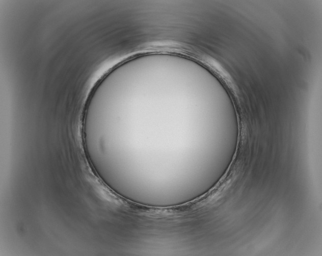 X0000111141336200906301009