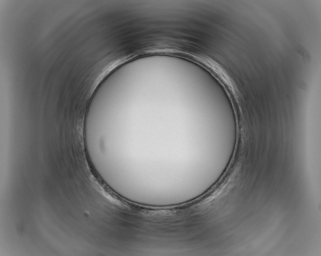 X0000111141337200906301009