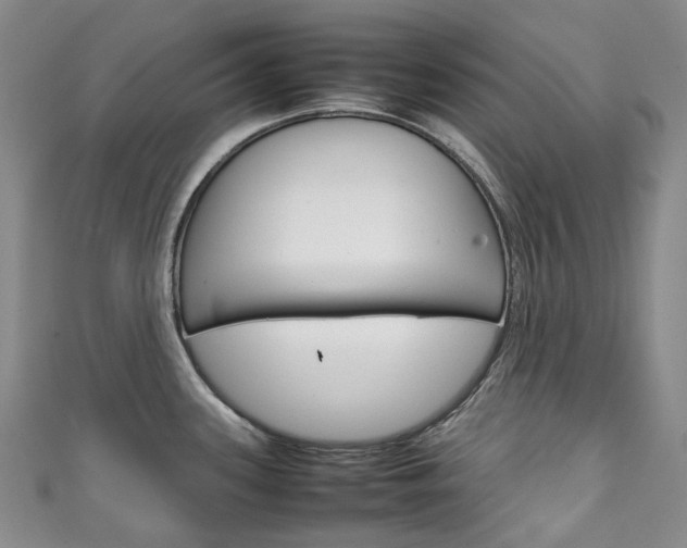 X0000111141339200906301009