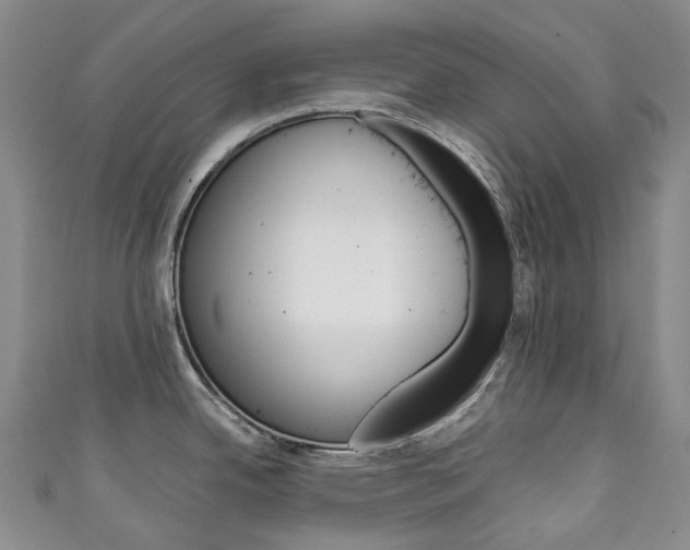 X0000111141342200906301009