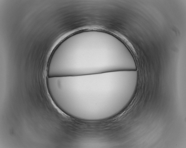 X0000111141343200906301009