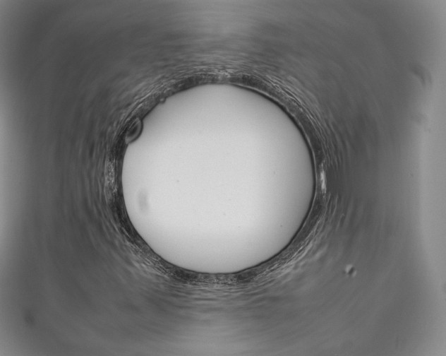 X0000111141347200906301009